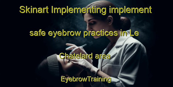 Skinart Implementing implement safe eyebrow practices in Le Chatelard area | EyebrowTraining | EyebrowClasses | SkinartTraining-France