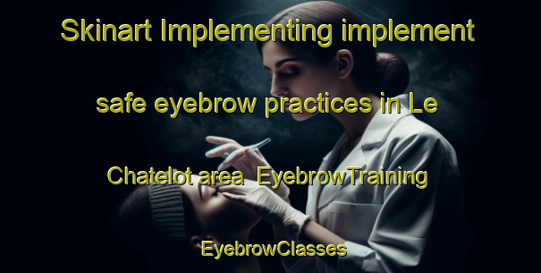 Skinart Implementing implement safe eyebrow practices in Le Chatelot area | EyebrowTraining | EyebrowClasses | SkinartTraining-France