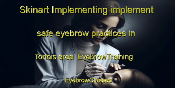 Skinart Implementing implement safe eyebrow practices in Tortois area | EyebrowTraining | EyebrowClasses | SkinartTraining-France
