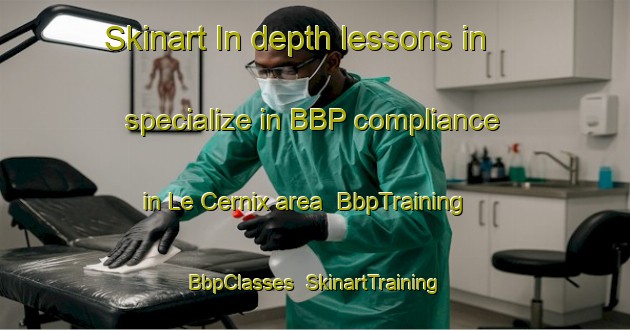 Skinart In-depth lessons in specialize in BBP compliance in Le Cernix area | BbpTraining | BbpClasses | SkinartTraining-France