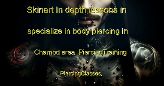 Skinart In-depth lessons in specialize in body piercing in Charnod area | PiercingTraining | PiercingClasses | SkinartTraining-France