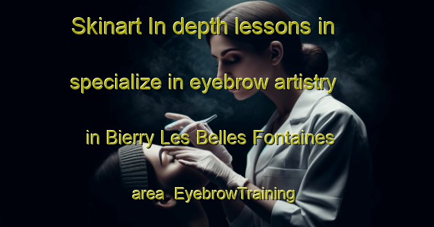 Skinart In-depth lessons in specialize in eyebrow artistry in Bierry Les Belles Fontaines area | EyebrowTraining | EyebrowClasses | SkinartTraining-France