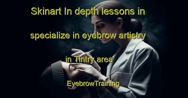 Skinart In-depth lessons in specialize in eyebrow artistry in Tintry area | EyebrowTraining | EyebrowClasses | SkinartTraining-France