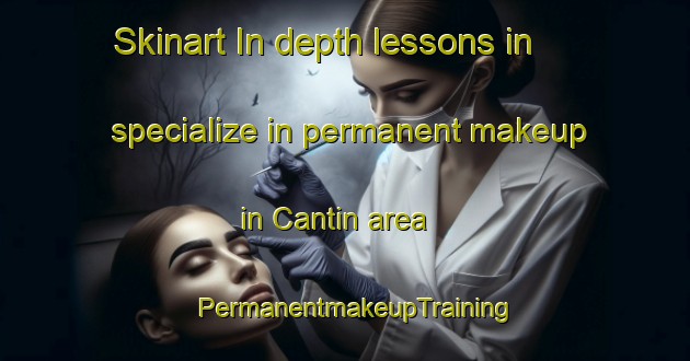 Skinart In-depth lessons in specialize in permanent makeup in Cantin area | PermanentmakeupTraining | PermanentmakeupClasses | SkinartTraining-France