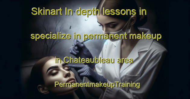 Skinart In-depth lessons in specialize in permanent makeup in Chateaubleau area | PermanentmakeupTraining | PermanentmakeupClasses | SkinartTraining-France