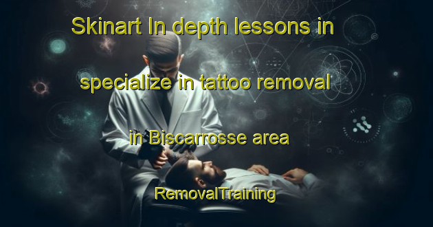Skinart In-depth lessons in specialize in tattoo removal in Biscarrosse area | RemovalTraining | RemovalClasses | SkinartTraining-France