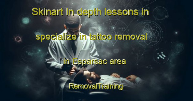 Skinart In-depth lessons in specialize in tattoo removal in Esparsac area | RemovalTraining | RemovalClasses | SkinartTraining-France