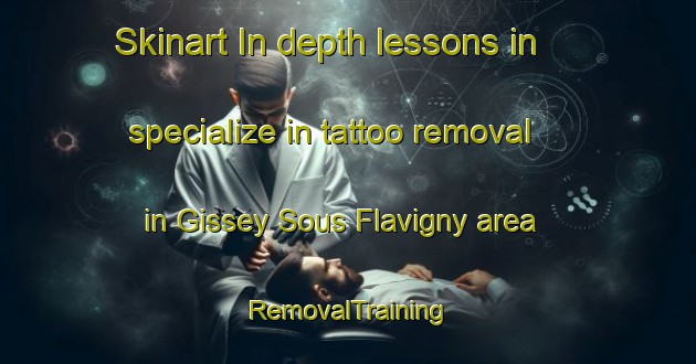 Skinart In-depth lessons in specialize in tattoo removal in Gissey Sous Flavigny area | RemovalTraining | RemovalClasses | SkinartTraining-France