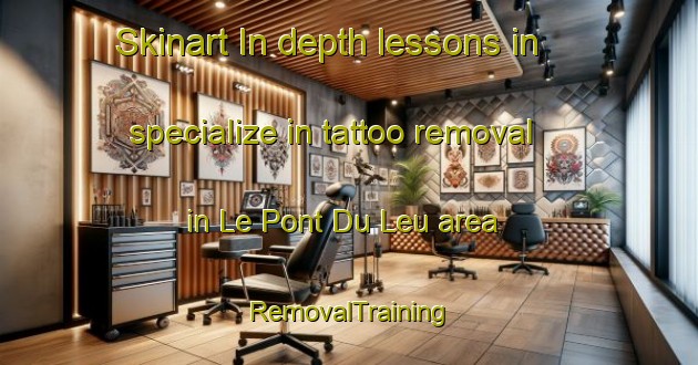 Skinart In-depth lessons in specialize in tattoo removal in Le Pont Du Leu area | RemovalTraining | RemovalClasses | SkinartTraining-France