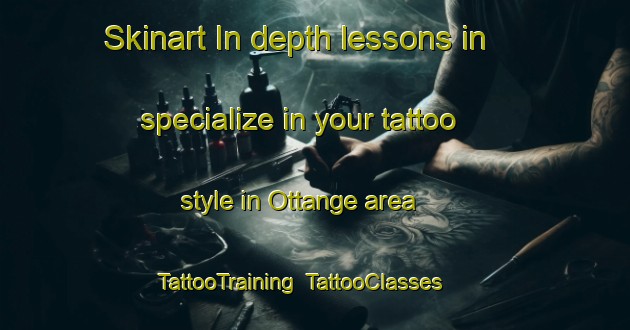 Skinart In-depth lessons in specialize in your tattoo style in Ottange area | TattooTraining | TattooClasses | SkinartTraining-France