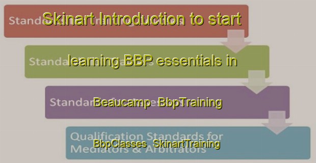 Skinart Introduction to start learning BBP essentials in Beaucamp | BbpTraining | BbpClasses | SkinartTraining-France