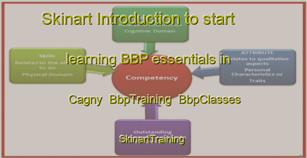Skinart Introduction to start learning BBP essentials in Cagny | BbpTraining | BbpClasses | SkinartTraining-France