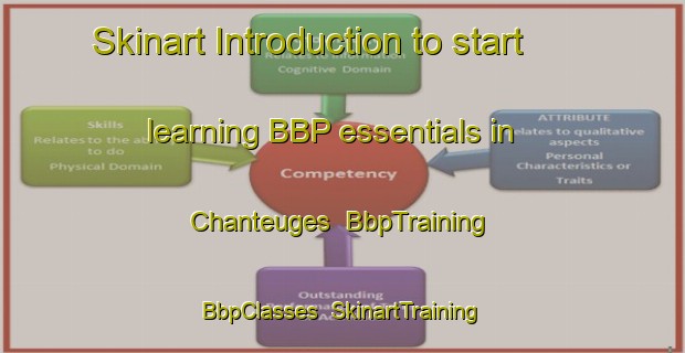 Skinart Introduction to start learning BBP essentials in Chanteuges | BbpTraining | BbpClasses | SkinartTraining-France