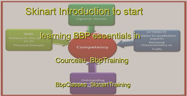 Skinart Introduction to start learning BBP essentials in Courceau | BbpTraining | BbpClasses | SkinartTraining-France