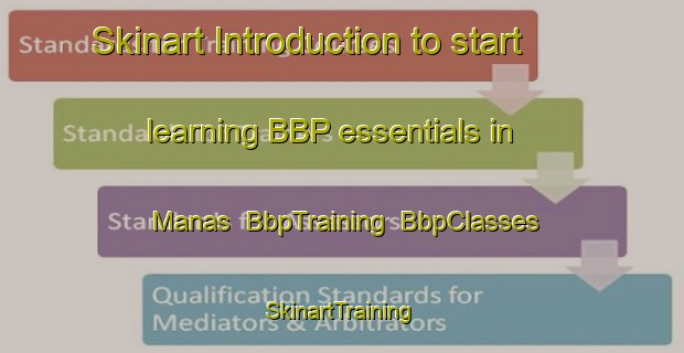 Skinart Introduction to start learning BBP essentials in Manas | BbpTraining | BbpClasses | SkinartTraining-France