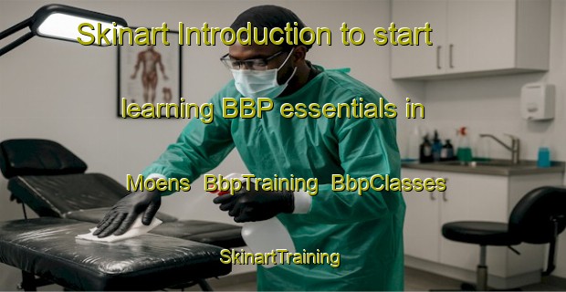Skinart Introduction to start learning BBP essentials in Moens | BbpTraining | BbpClasses | SkinartTraining-France