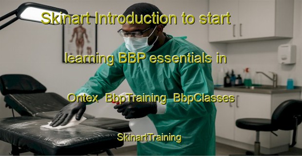 Skinart Introduction to start learning BBP essentials in Ontex | BbpTraining | BbpClasses | SkinartTraining-France