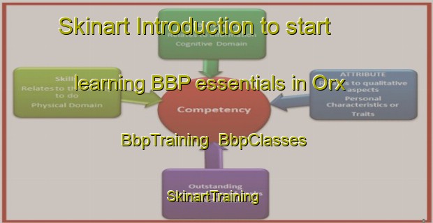 Skinart Introduction to start learning BBP essentials in Orx | BbpTraining | BbpClasses | SkinartTraining-France