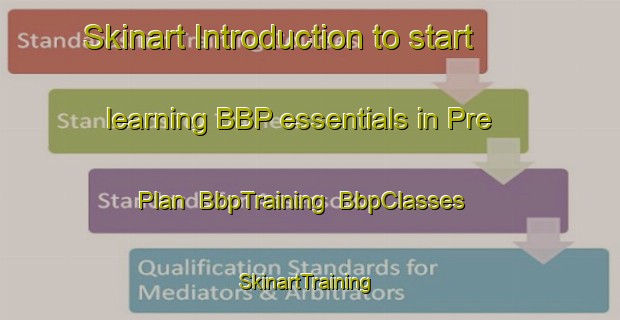 Skinart Introduction to start learning BBP essentials in Pre Plan | BbpTraining | BbpClasses | SkinartTraining-France