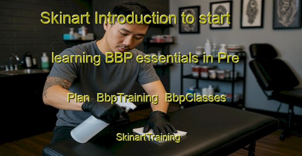 Skinart Introduction to start learning BBP essentials in Pre Plan | BbpTraining | BbpClasses | SkinartTraining-France
