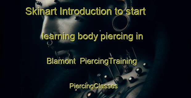 Skinart Introduction to start learning body piercing in Blamont | PiercingTraining | PiercingClasses | SkinartTraining-France