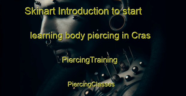 Skinart Introduction to start learning body piercing in Cras | PiercingTraining | PiercingClasses | SkinartTraining-France