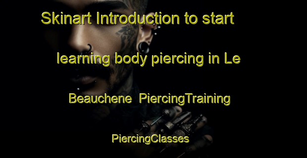 Skinart Introduction to start learning body piercing in Le Beauchene | PiercingTraining | PiercingClasses | SkinartTraining-France