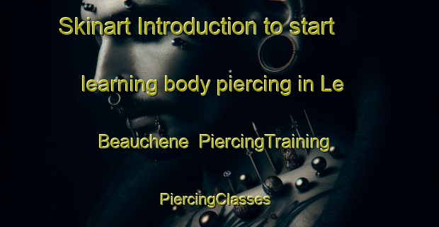 Skinart Introduction to start learning body piercing in Le Beauchene | PiercingTraining | PiercingClasses | SkinartTraining-France