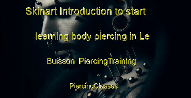 Skinart Introduction to start learning body piercing in Le Buisson | PiercingTraining | PiercingClasses | SkinartTraining-France