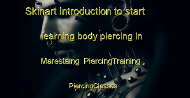 Skinart Introduction to start learning body piercing in Marestaing | PiercingTraining | PiercingClasses | SkinartTraining-France