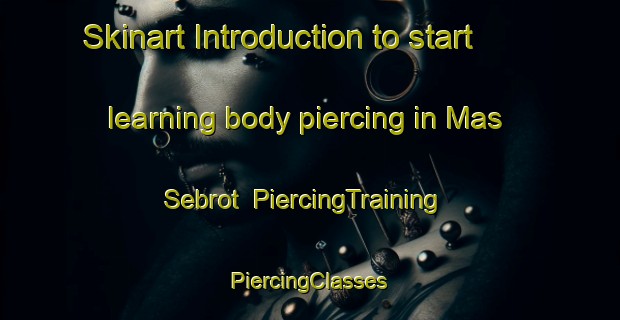 Skinart Introduction to start learning body piercing in Mas Sebrot | #PiercingTraining #PiercingClasses #SkinartTraining-France