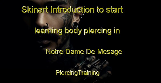 Skinart Introduction to start learning body piercing in Notre Dame De Mesage | PiercingTraining | PiercingClasses | SkinartTraining-France