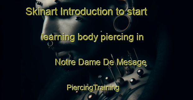 Skinart Introduction to start learning body piercing in Notre Dame De Mesage | PiercingTraining | PiercingClasses | SkinartTraining-France