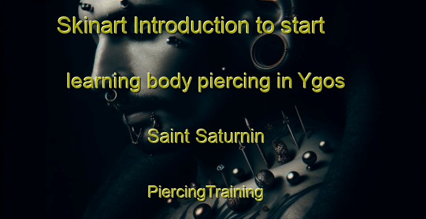 Skinart Introduction to start learning body piercing in Ygos Saint Saturnin | PiercingTraining | PiercingClasses | SkinartTraining-France