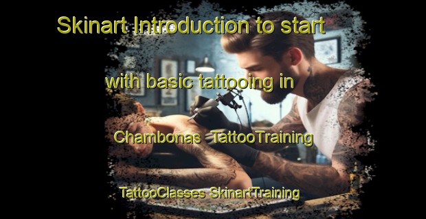 Skinart Introduction to start with basic tattooing in Chambonas | #TattooTraining #TattooClasses #SkinartTraining-France