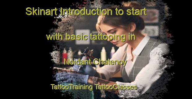 Skinart Introduction to start with basic tattooing in Noidant Chatenoy | #TattooTraining #TattooClasses #SkinartTraining-France