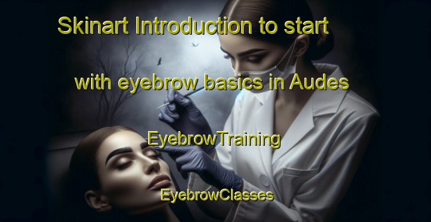 Skinart Introduction to start with eyebrow basics in Audes | EyebrowTraining | EyebrowClasses | SkinartTraining-France