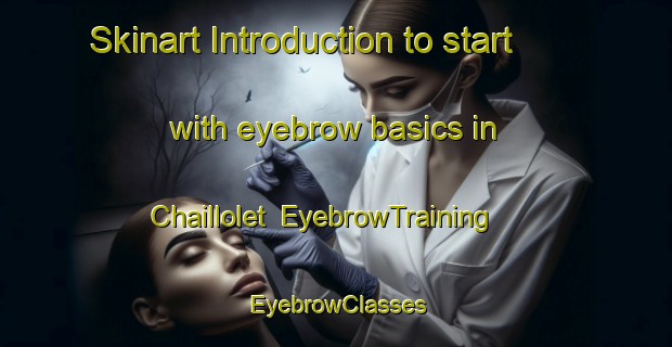 Skinart Introduction to start with eyebrow basics in Chaillolet | EyebrowTraining | EyebrowClasses | SkinartTraining-France