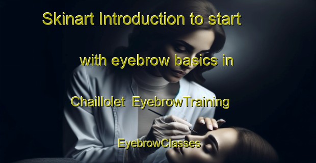 Skinart Introduction to start with eyebrow basics in Chaillolet | EyebrowTraining | EyebrowClasses | SkinartTraining-France