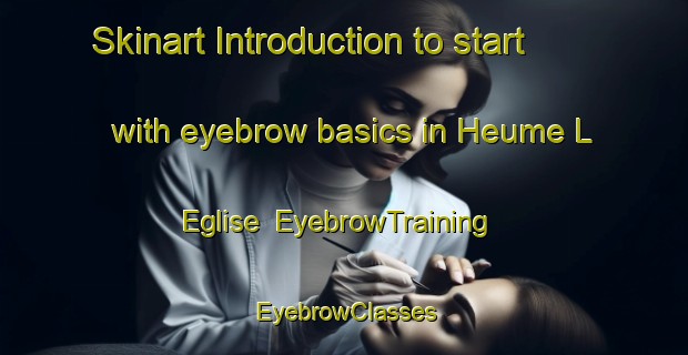 Skinart Introduction to start with eyebrow basics in Heume L Eglise | EyebrowTraining | EyebrowClasses | SkinartTraining-France