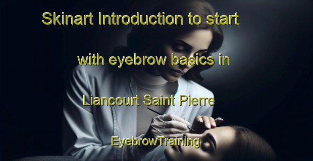 Skinart Introduction to start with eyebrow basics in Liancourt Saint Pierre | EyebrowTraining | EyebrowClasses | SkinartTraining-France