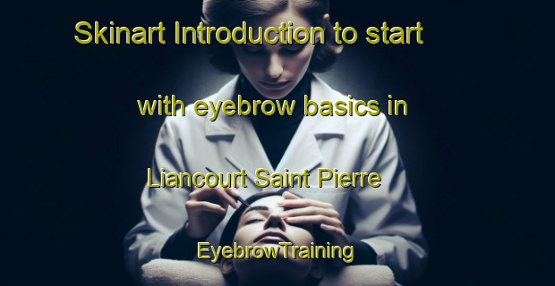 Skinart Introduction to start with eyebrow basics in Liancourt Saint Pierre | EyebrowTraining | EyebrowClasses | SkinartTraining-France
