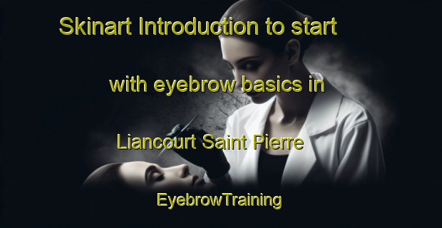 Skinart Introduction to start with eyebrow basics in Liancourt Saint Pierre | EyebrowTraining | EyebrowClasses | SkinartTraining-France