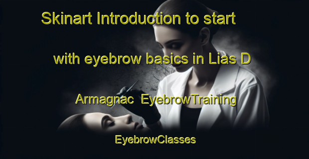 Skinart Introduction to start with eyebrow basics in Lias D Armagnac | EyebrowTraining | EyebrowClasses | SkinartTraining-France