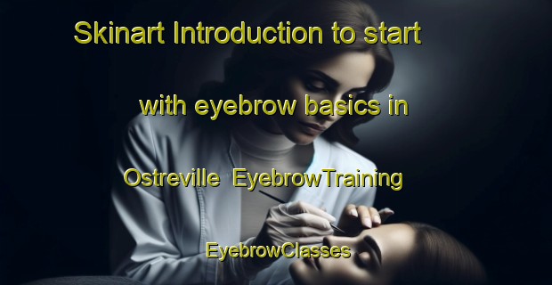 Skinart Introduction to start with eyebrow basics in Ostreville | EyebrowTraining | EyebrowClasses | SkinartTraining-France