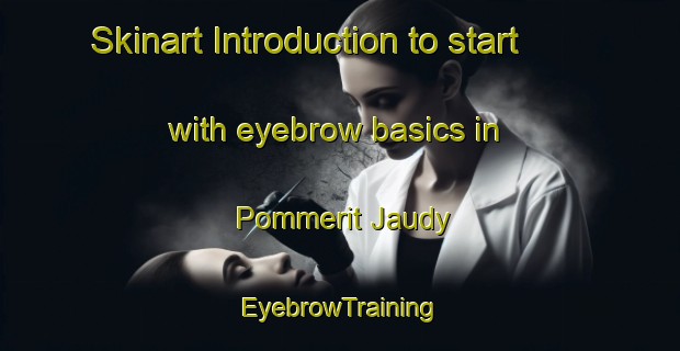 Skinart Introduction to start with eyebrow basics in Pommerit Jaudy | EyebrowTraining | EyebrowClasses | SkinartTraining-France