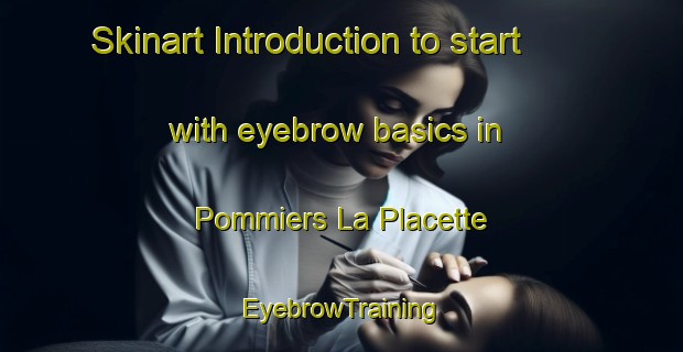 Skinart Introduction to start with eyebrow basics in Pommiers La Placette | EyebrowTraining | EyebrowClasses | SkinartTraining-France