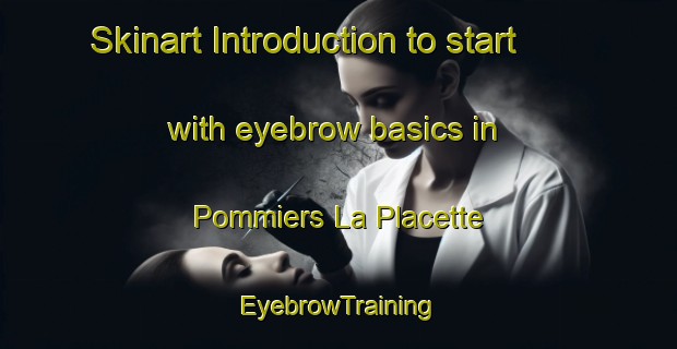 Skinart Introduction to start with eyebrow basics in Pommiers La Placette | EyebrowTraining | EyebrowClasses | SkinartTraining-France