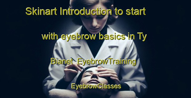 Skinart Introduction to start with eyebrow basics in Ty Bianet | EyebrowTraining | EyebrowClasses | SkinartTraining-France