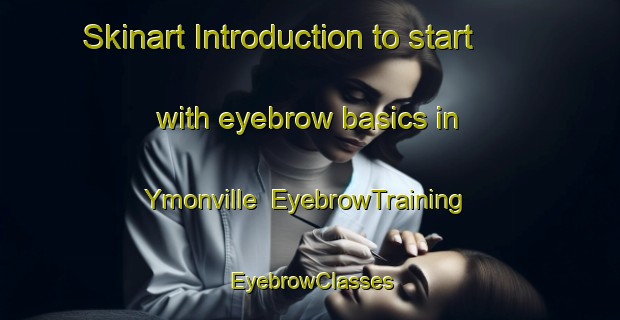 Skinart Introduction to start with eyebrow basics in Ymonville | EyebrowTraining | EyebrowClasses | SkinartTraining-France